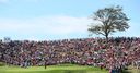 WATCH: Best par three in golf?