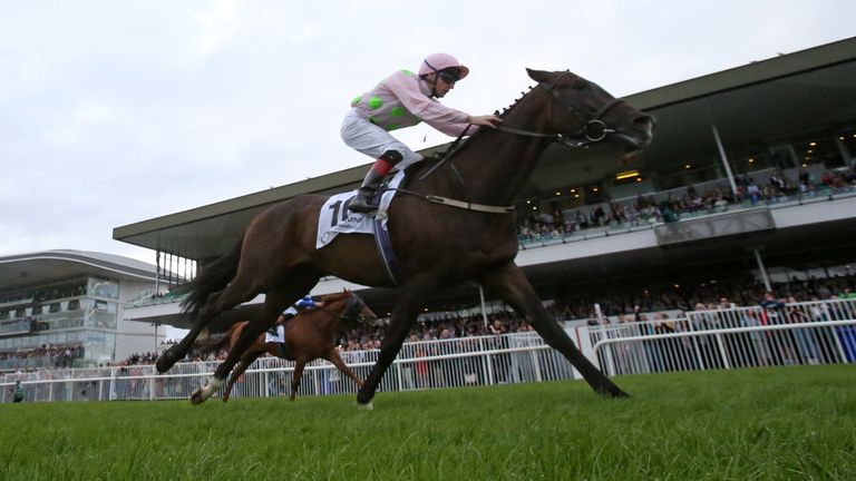 Willie Mullins-trained Riven Light