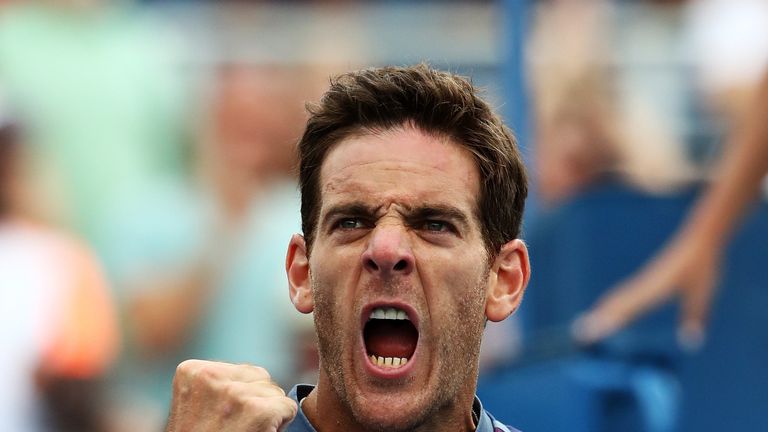 Juan Martin del Potro of Argentina celebrates defeating Adrian Menendez-Maceiras of Spain in their second round Men's Singles match at US Open