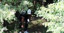 WATCH: Koepka's tree double!