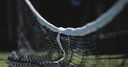 LTA apologises over child abuse