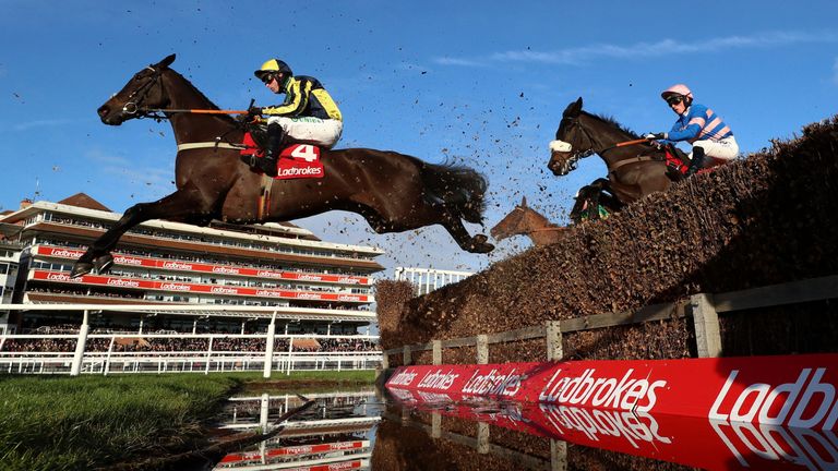 Willoughby Court: Heading to Cheltenham for the Dipper Chase