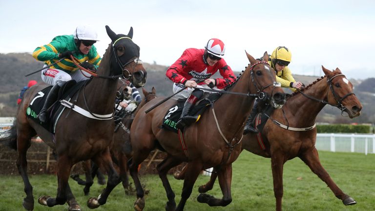 My Tent or Yours (L) has finished second in the Champion on three occasions