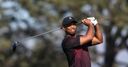 WATCH: Tiger so close to ace!