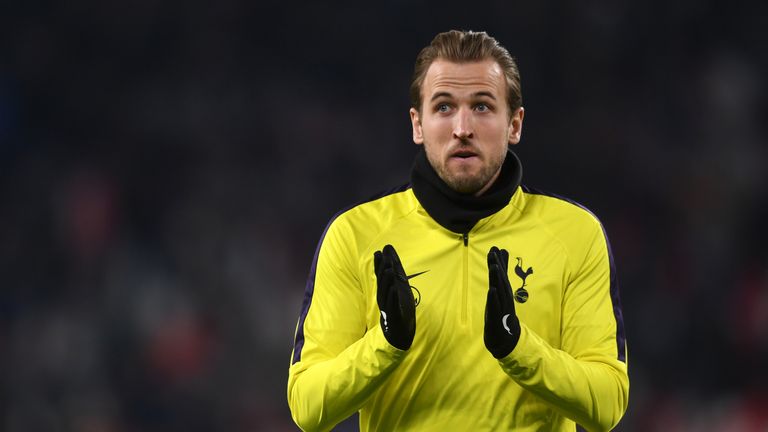 Harry Kane's performances for Spurs this season have impressed Matt Le Tissier