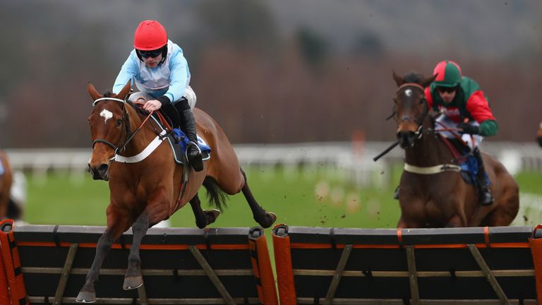 Verdana Blue is a massive outsider for Nicky Henderson
