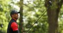 Woods climbs into top 100