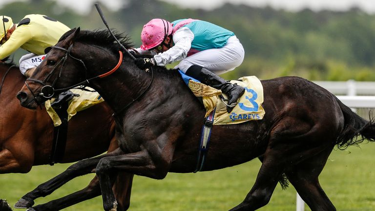 Mirage Dancer: Fancied to strike at Newmarket this week