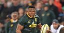 Boks fight back to beat Pumas