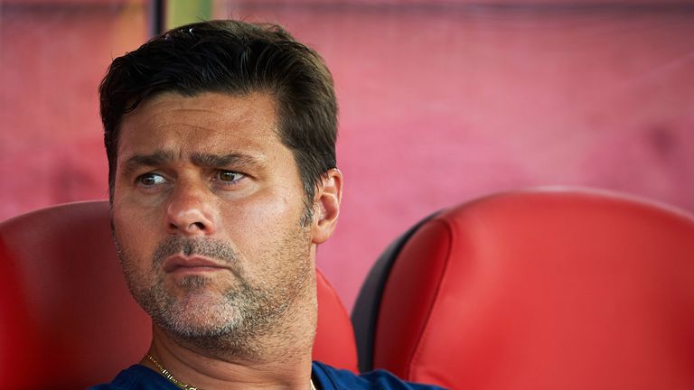 Mauricio Pochettino failed to add to his Tottenham squad this summer