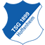 Hoffenheim Club Badge
