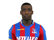 Shola Ameobi
