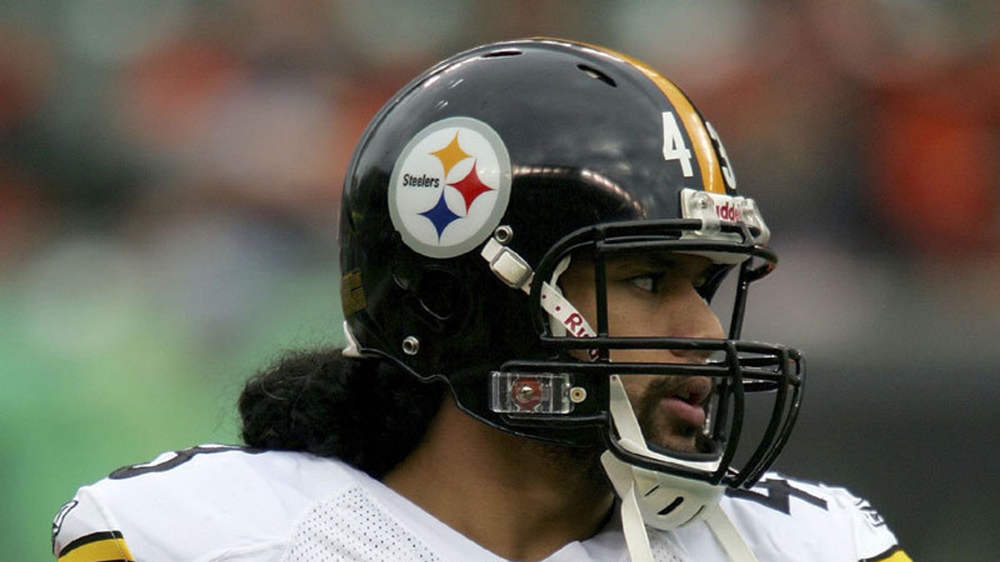 record troy polamalu