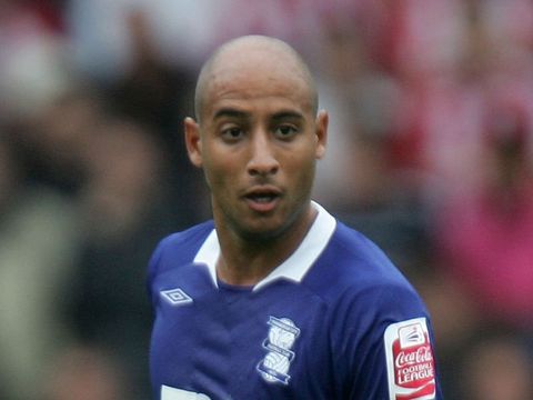 Image of Nafti: Seals move