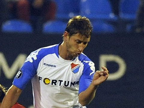 Image of Strihavka: Unfazed by interest