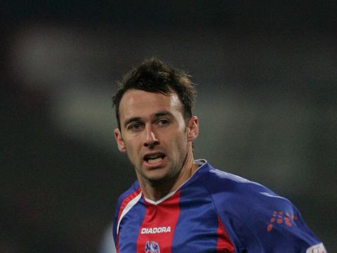 Image of Freedman: Back at Palace