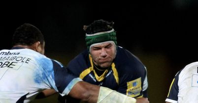 Fourie: Back