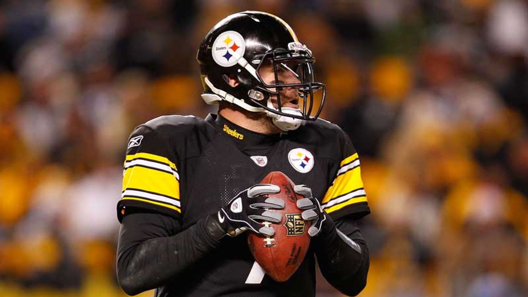 Pittsburgh Steelers tame Panthers to tighten grip on AFC North