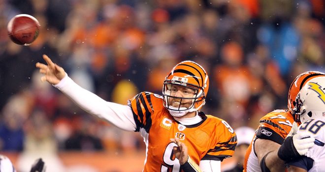 Bengals making the right decision with Palmer? - National Football