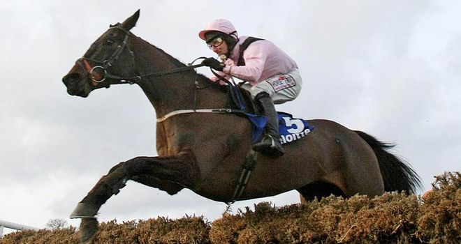 Oscars Well: Fell in the Craddockstown Novice Chase at Punchestown at the weekend