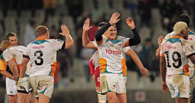 Cheetahs: Looking for four wins in a row