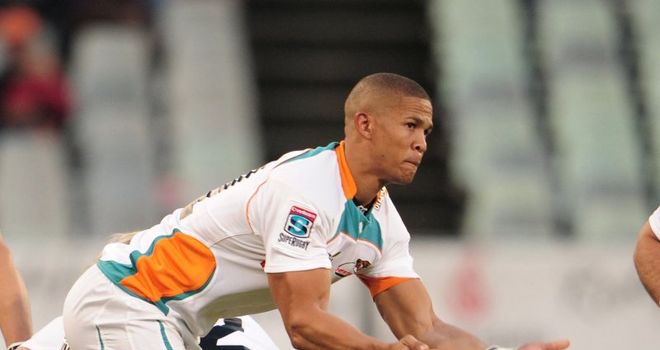 Benjamin: Returns for Cheetahs