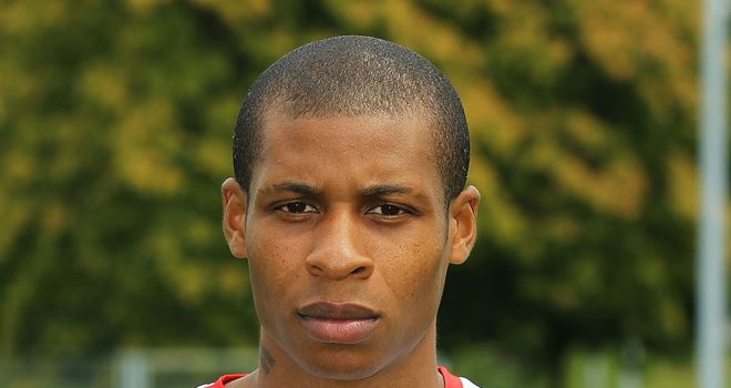 Johan Audel: Has only played three Bundesliga matches for Stuttgart