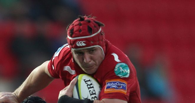 Johnathan Edwards: Will captain the Scarlets with Rob McCusker absent