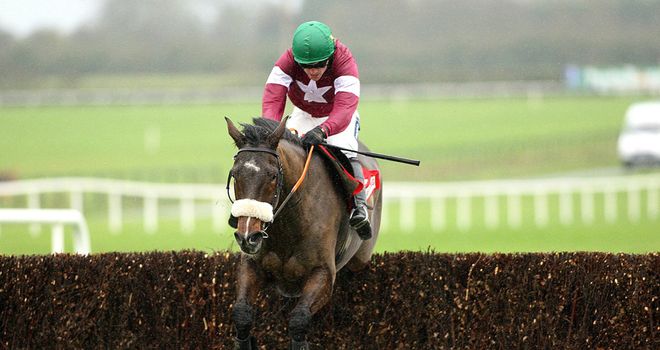 Bog Warrior: Intended runner at Naas with ground too quick at Cheltenham