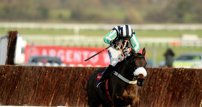 Midnight Chase: Has won five times at Prestbury Park