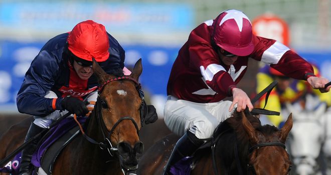 Bobs Worth (left): Set to take his chance in the Hennessy