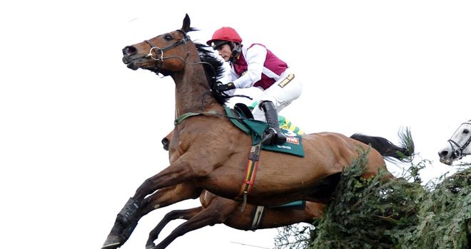 Seabass: On course for a return to Aintree