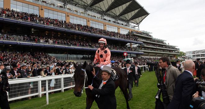 Black Caviar: Heading home to Australia and could have run her final race