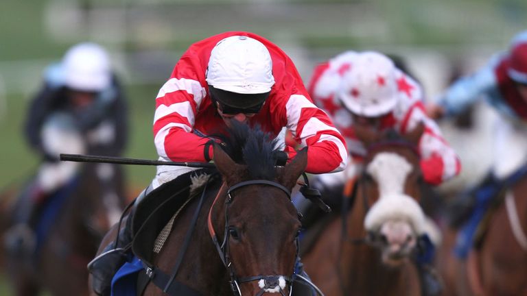 Coneygree: Could step out of novice company for the World Hurdle