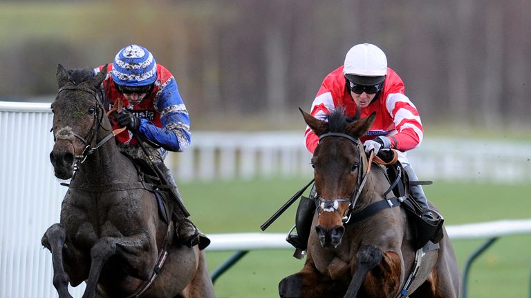 Coneygree (right) looks set to miss Festival
