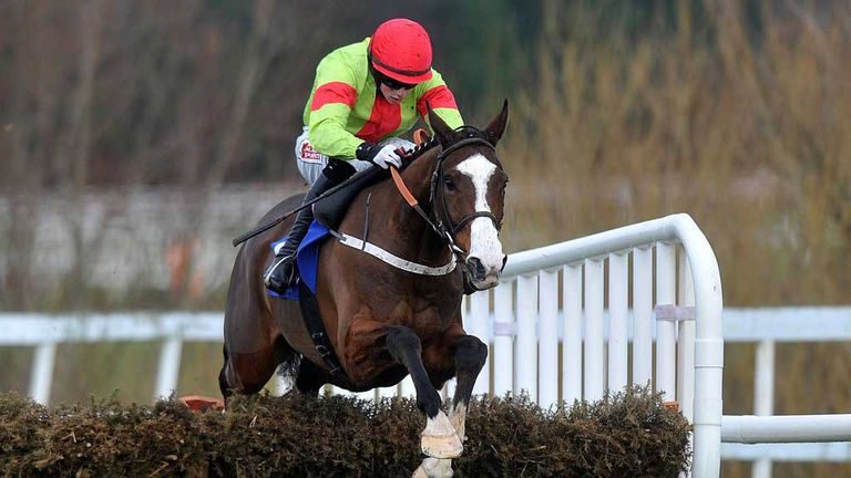 Dessie Hughes has an exciting prospect in his yard in the form of Our Conor