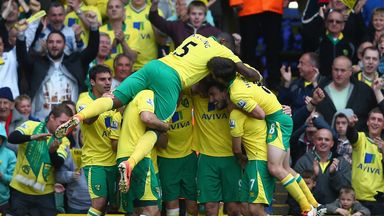 Norwich secured their Premier League survival with a fine performance