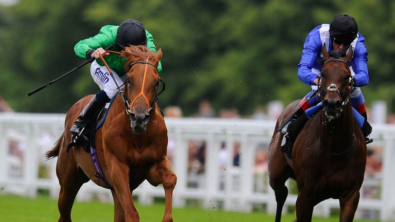 Piping Rock (l): Set for the Autumn Stakes this weekend