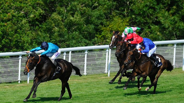 Brown Panther wins at Goodwood last year