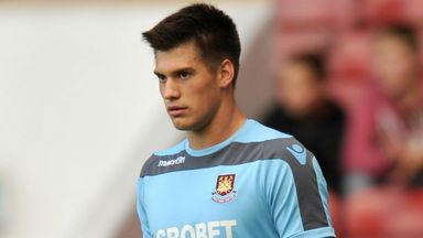 Image of Raphael Spiegel: Loan has expired