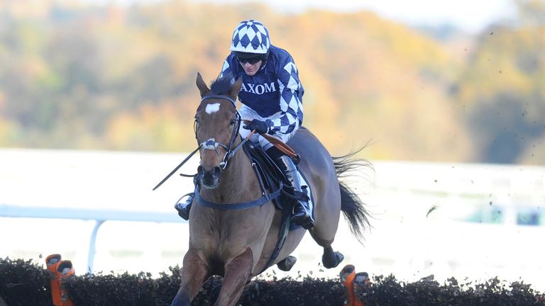 Irving: Will skip the Tolworth Hurdle