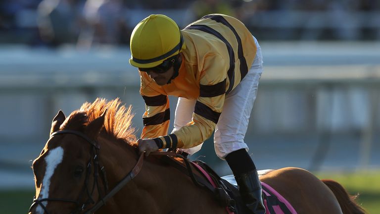 Wise Dan: Required emergency surgery for onset of colic