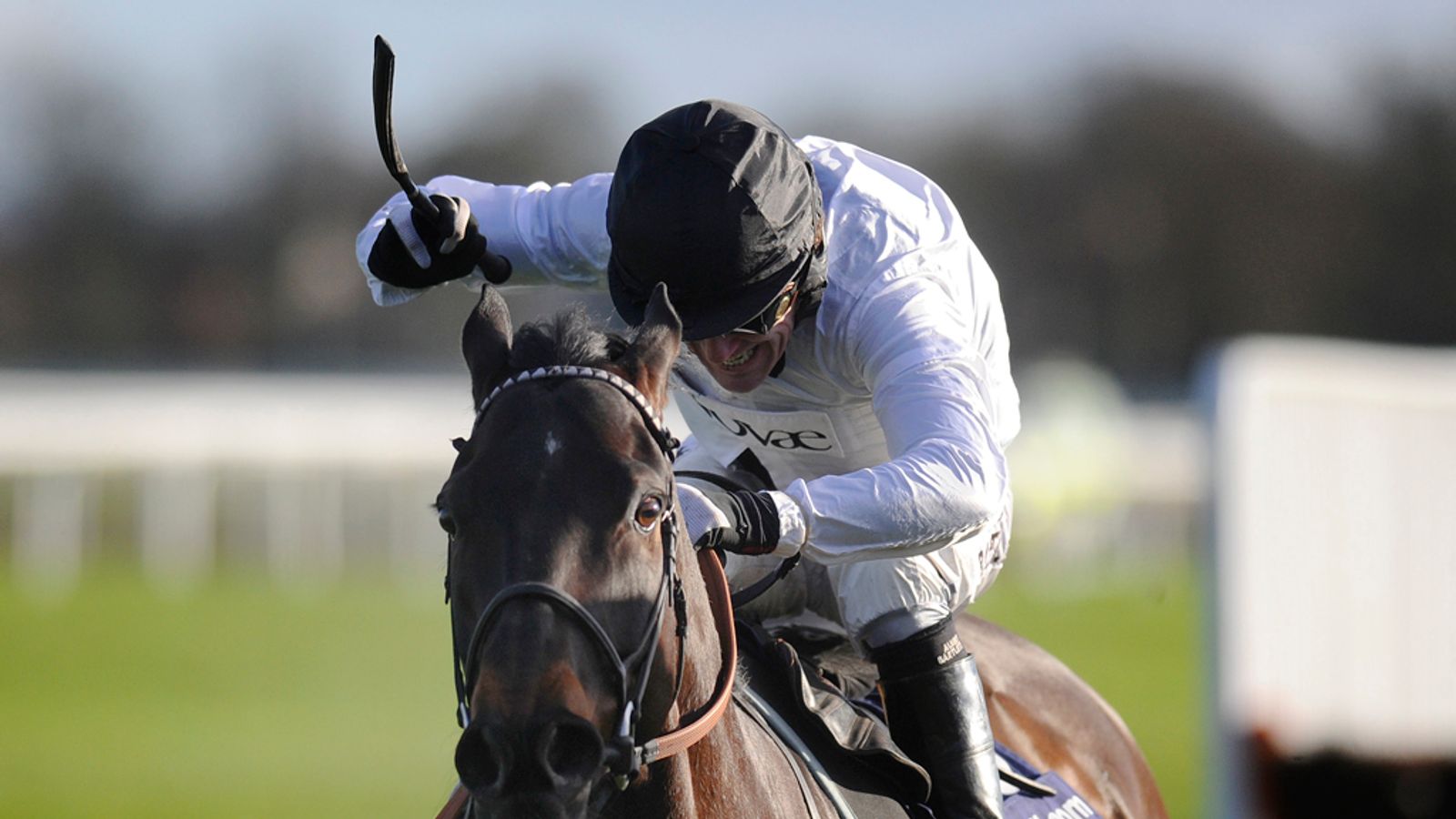 Bloodstock Bites Racing News Sky Sports