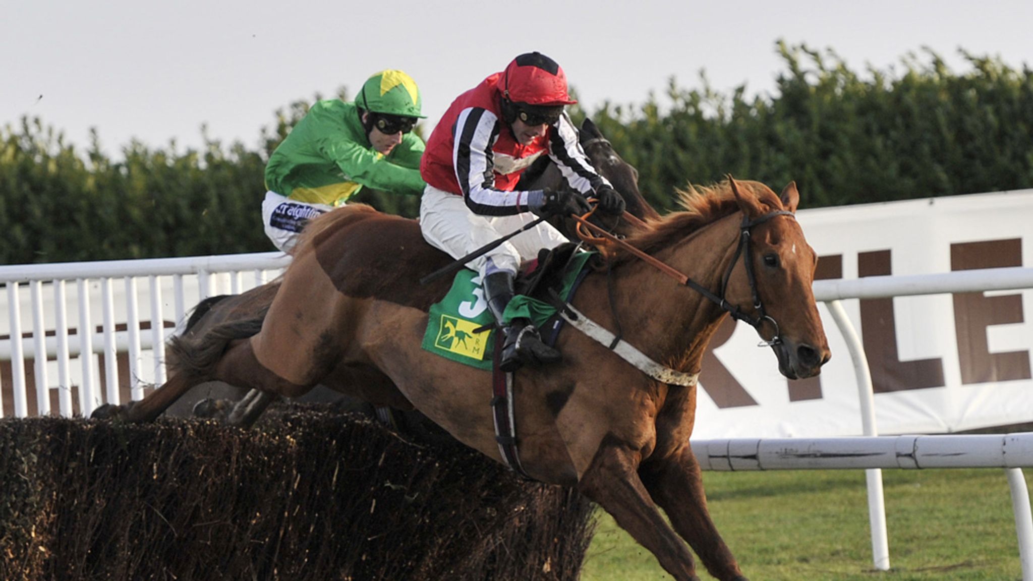 Nicky Richards Duo Simply Ned And Duke Of Navan Set For Cheltenham Racing News Sky Sports