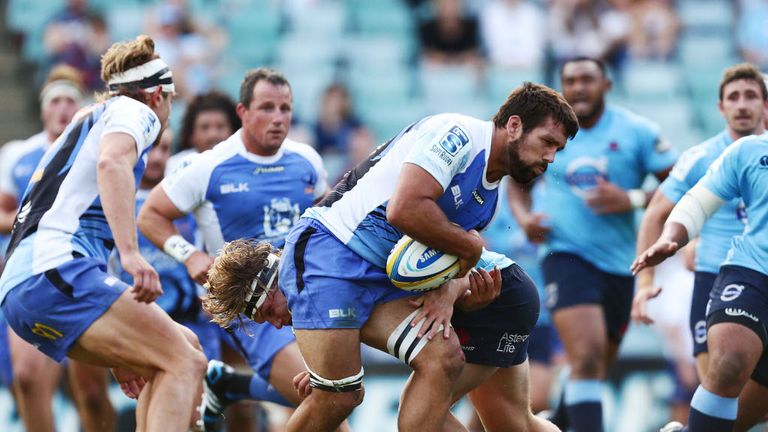 Chris Alcock: Returns to the Western Force XV