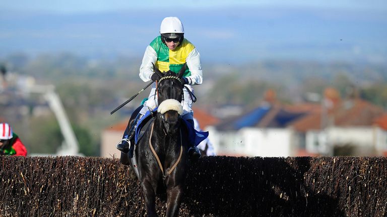 Many Clouds: Delighted his trainer despite defeat
