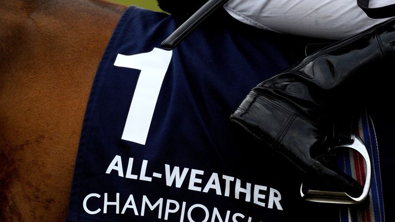 'All Weather Championships' saddle cloth at Lingfield