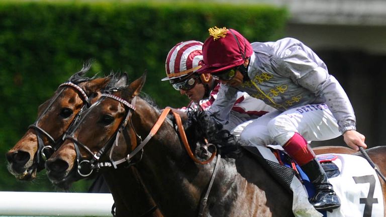 Treve: Ready for her return to action