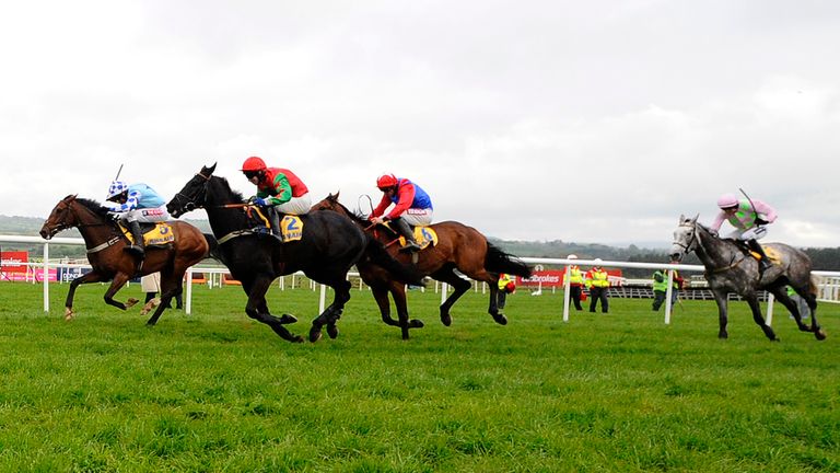 Balder Succes: Was beaten into third at the Punchestown Festival