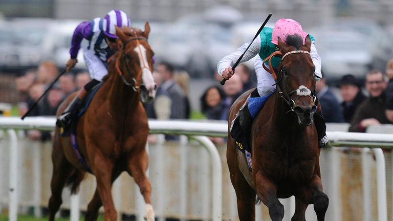 Shifting Power (left): Big chance for Richard Hannon on Friday